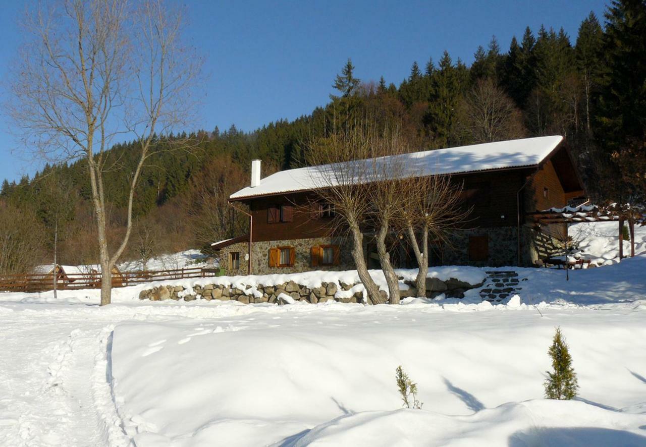 3A Guest House Sicasău Esterno foto